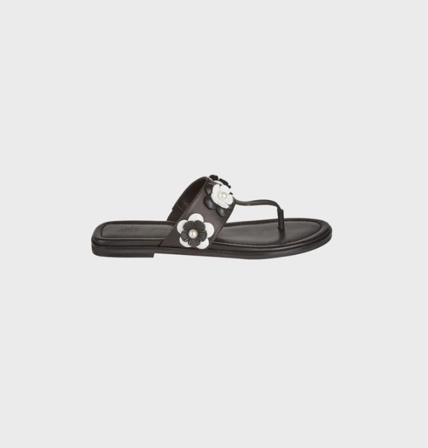 1AF0323-171 [ANNE FONTAINE] Cesira Sandal Black #P25A04503 (EU)