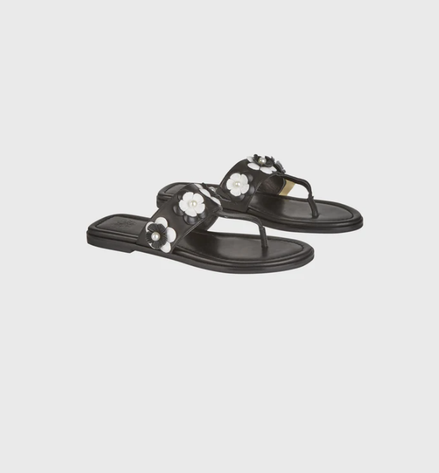 1AF0323-171 [ANNE FONTAINE] Cesira Sandal Black #P25A04503 (EU)