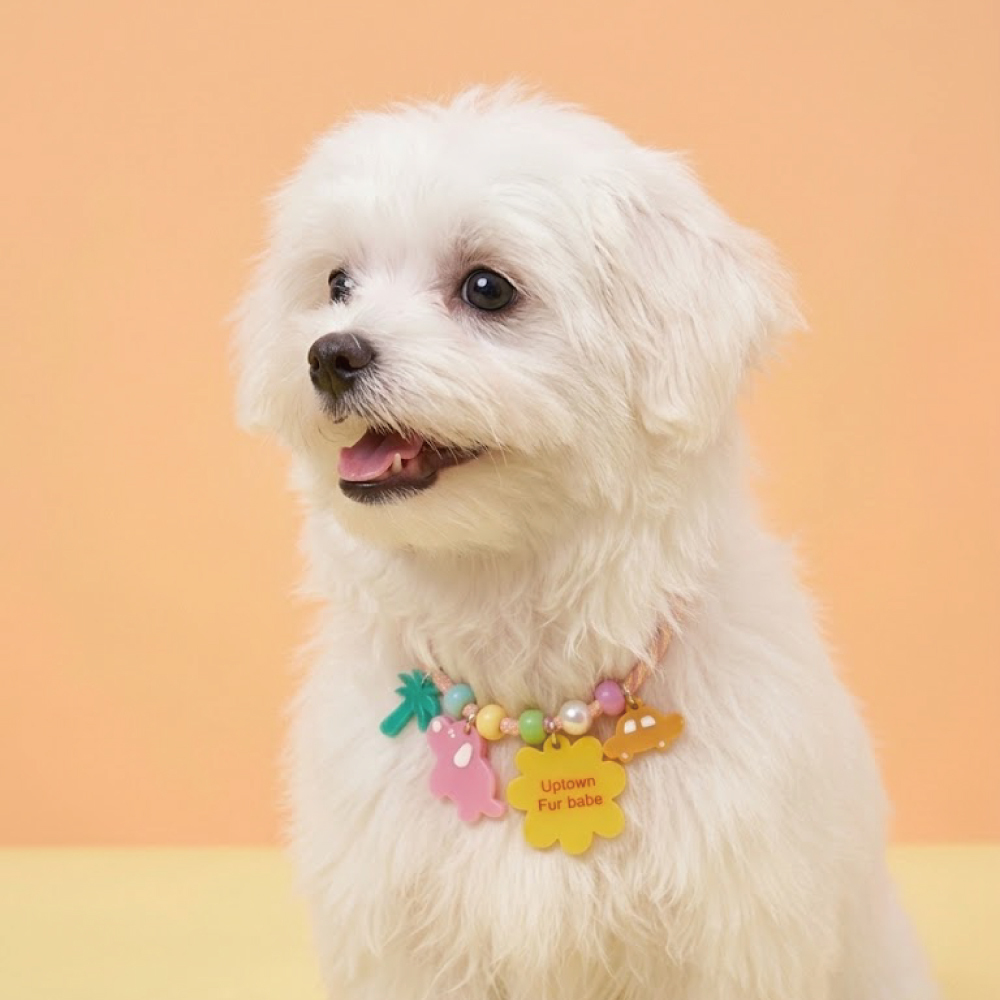 doggu 寵物項鍊｜選我選我系列｜時髦汪汪