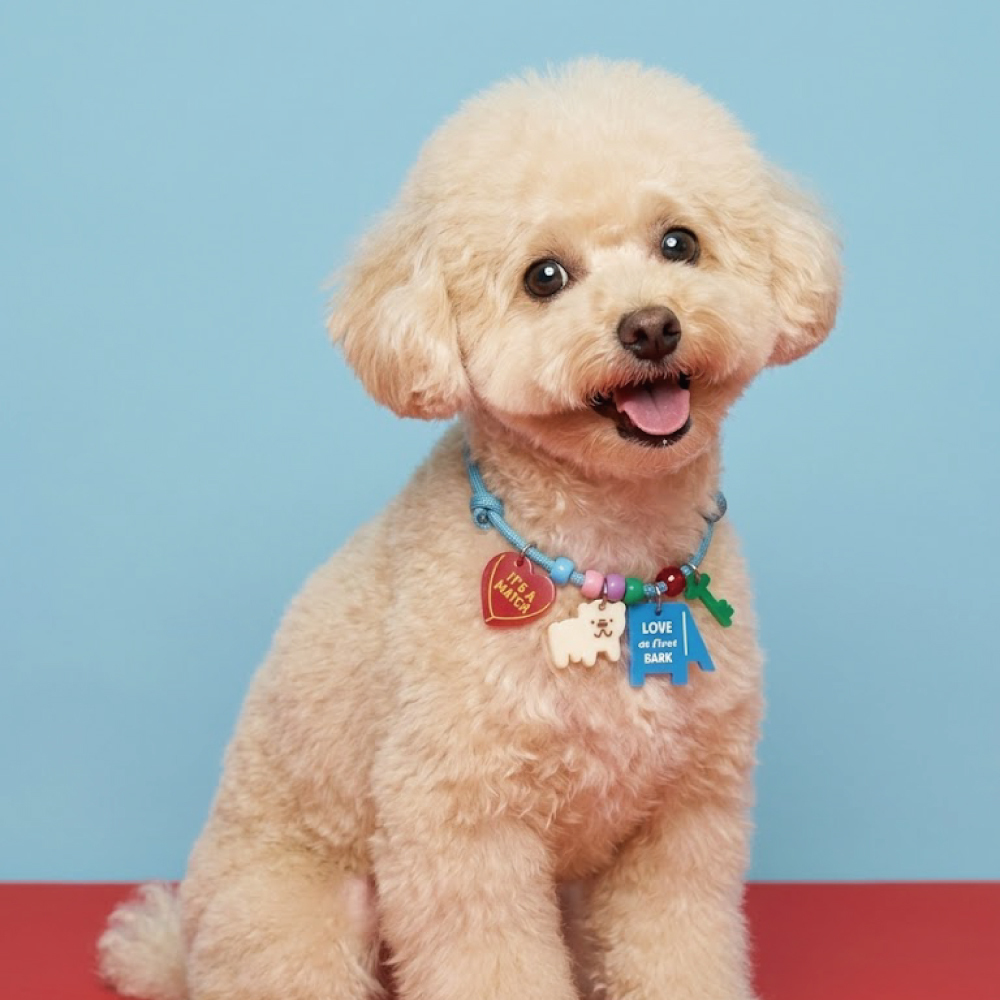 doggu 寵物項鍊｜選我選我系列｜魅力萬人迷