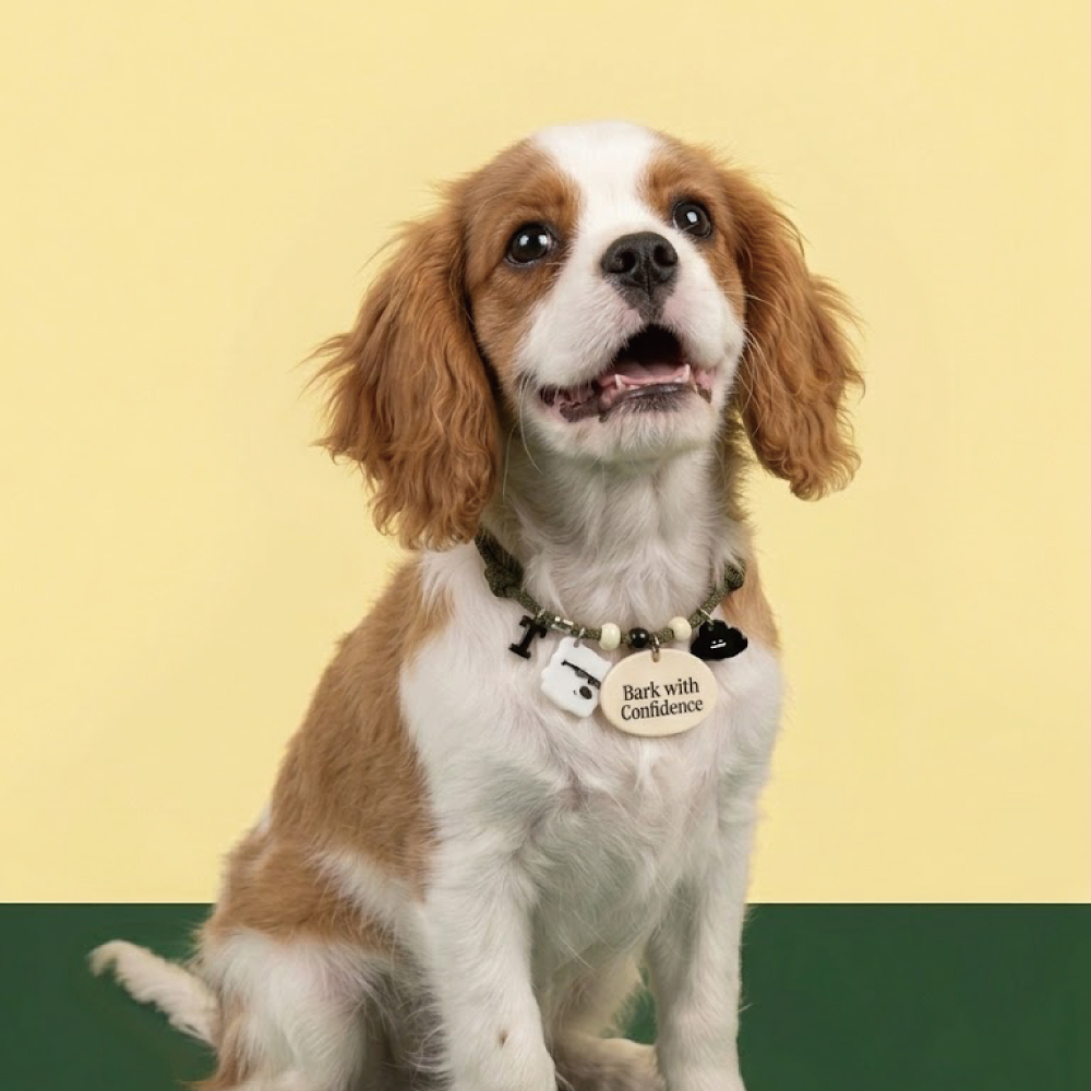 doggu 寵物項鍊｜選我選我系列｜自信汪汪