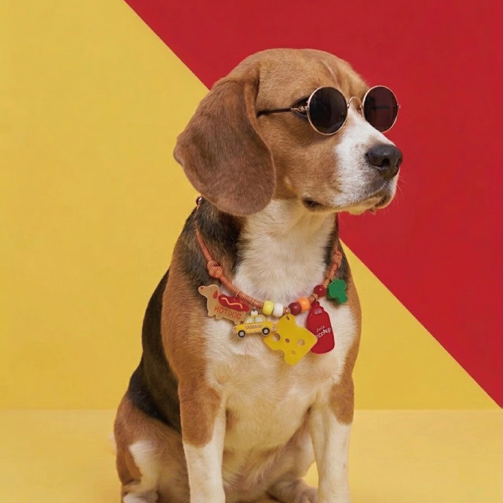 doggu 寵物項鍊｜選我選我系列｜紐約漫步