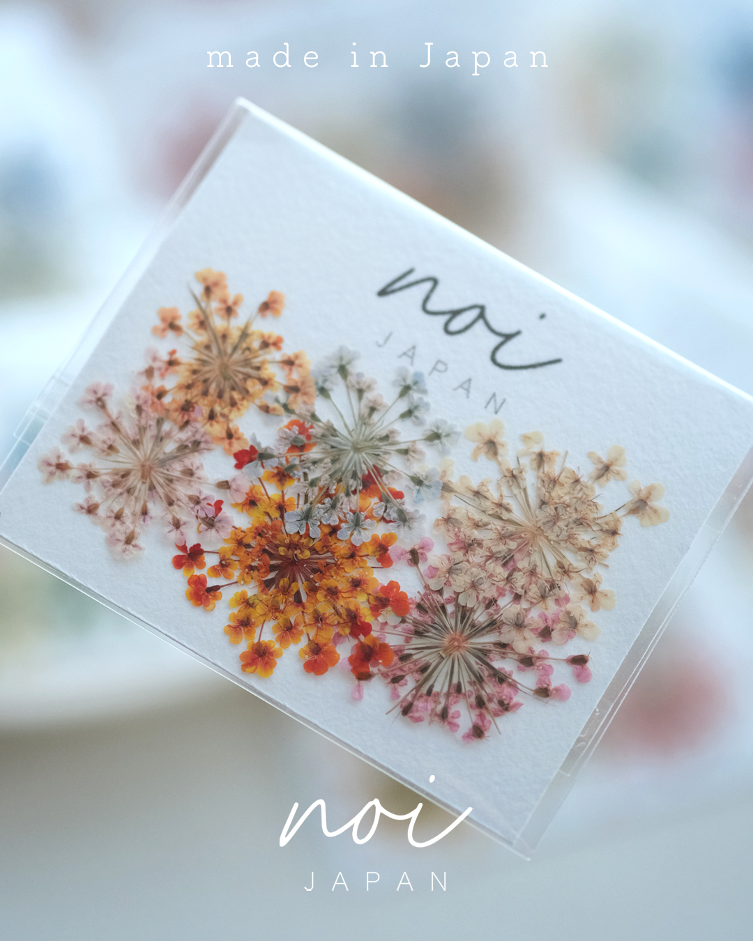 - 預訂優惠 - 乾花 [ 日本製 ]