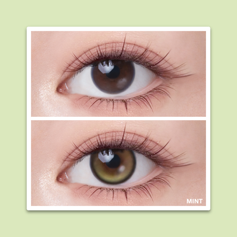 [日拋] Quinlivan 昆凌 Maison 1 Day #MINT 薄荷綠 -10片裝