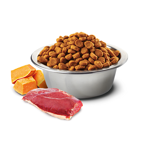 N&D – 南瓜無穀系列 成貓-鴨肉哈密瓜 Grain Free Pumpkin Duck with Cantaloupe 1.5kg