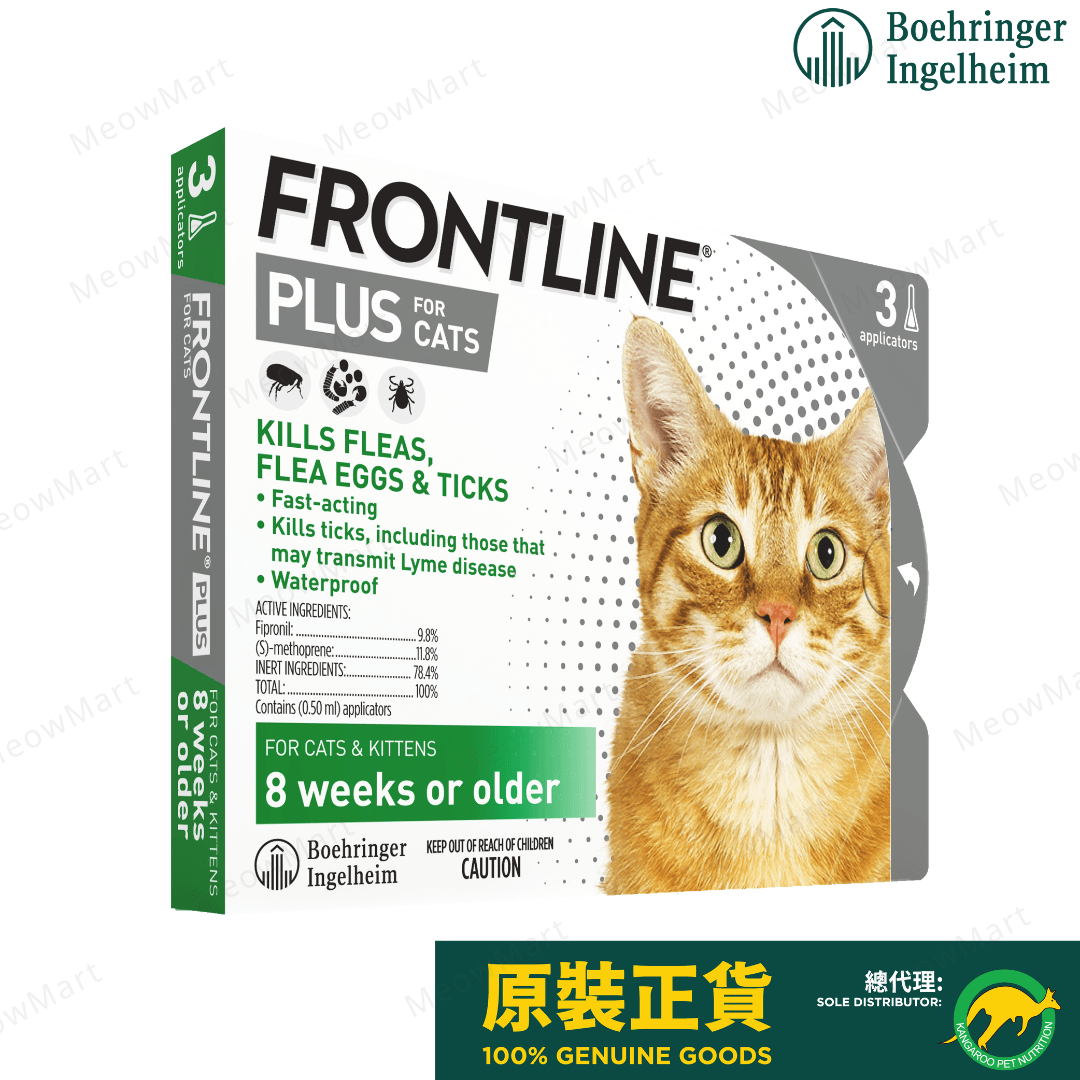 frontline plus 貓