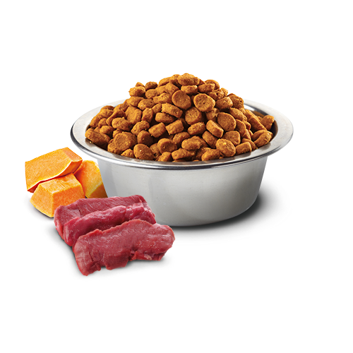 N&D – 南瓜無穀系列 成貓-鹿肉蘋果 Grain Free Pumpkin Venison with Apple 1.5kg