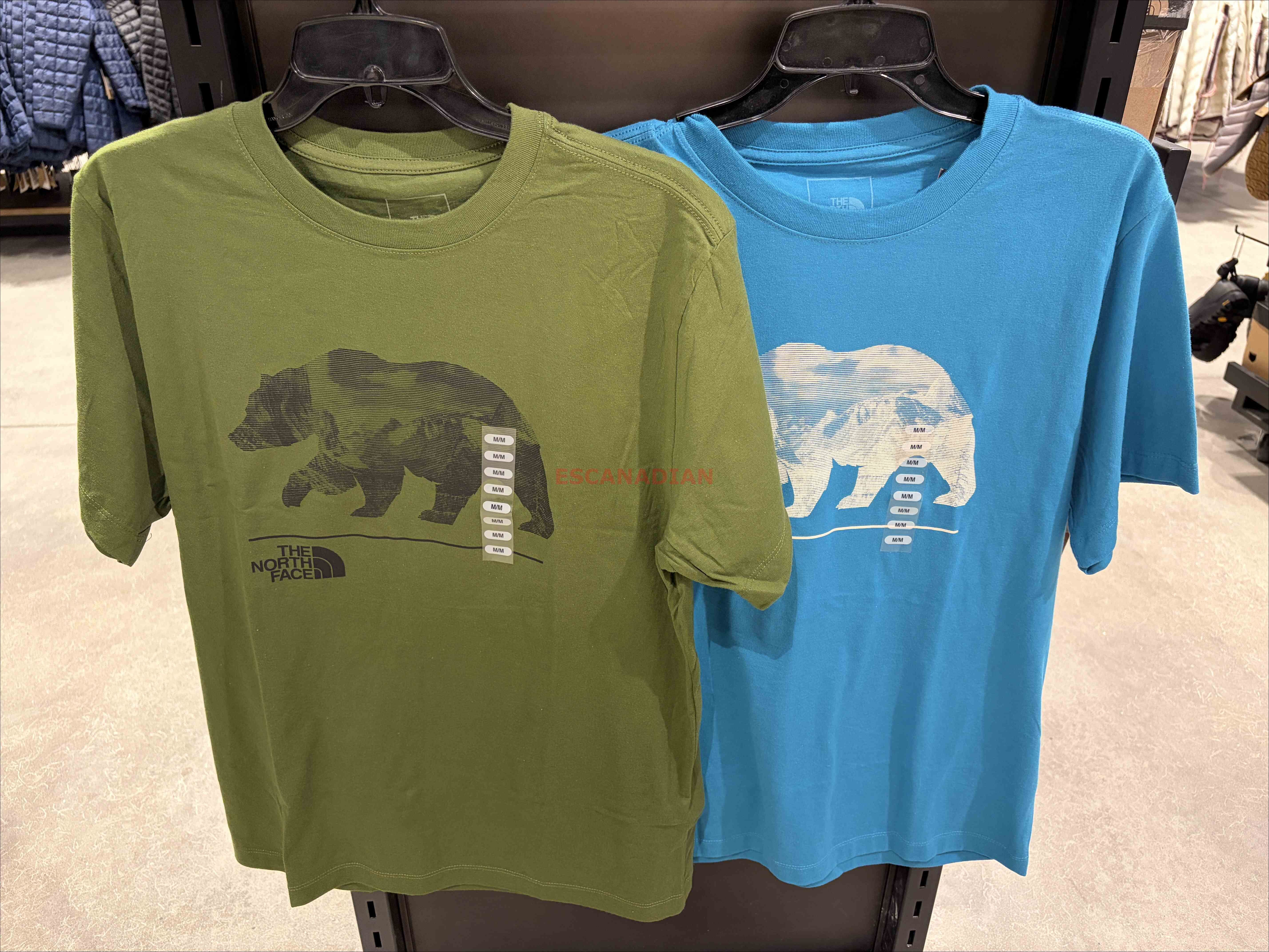 THE NORTH FACE 男大人 熊圖案 短TEE (2色)