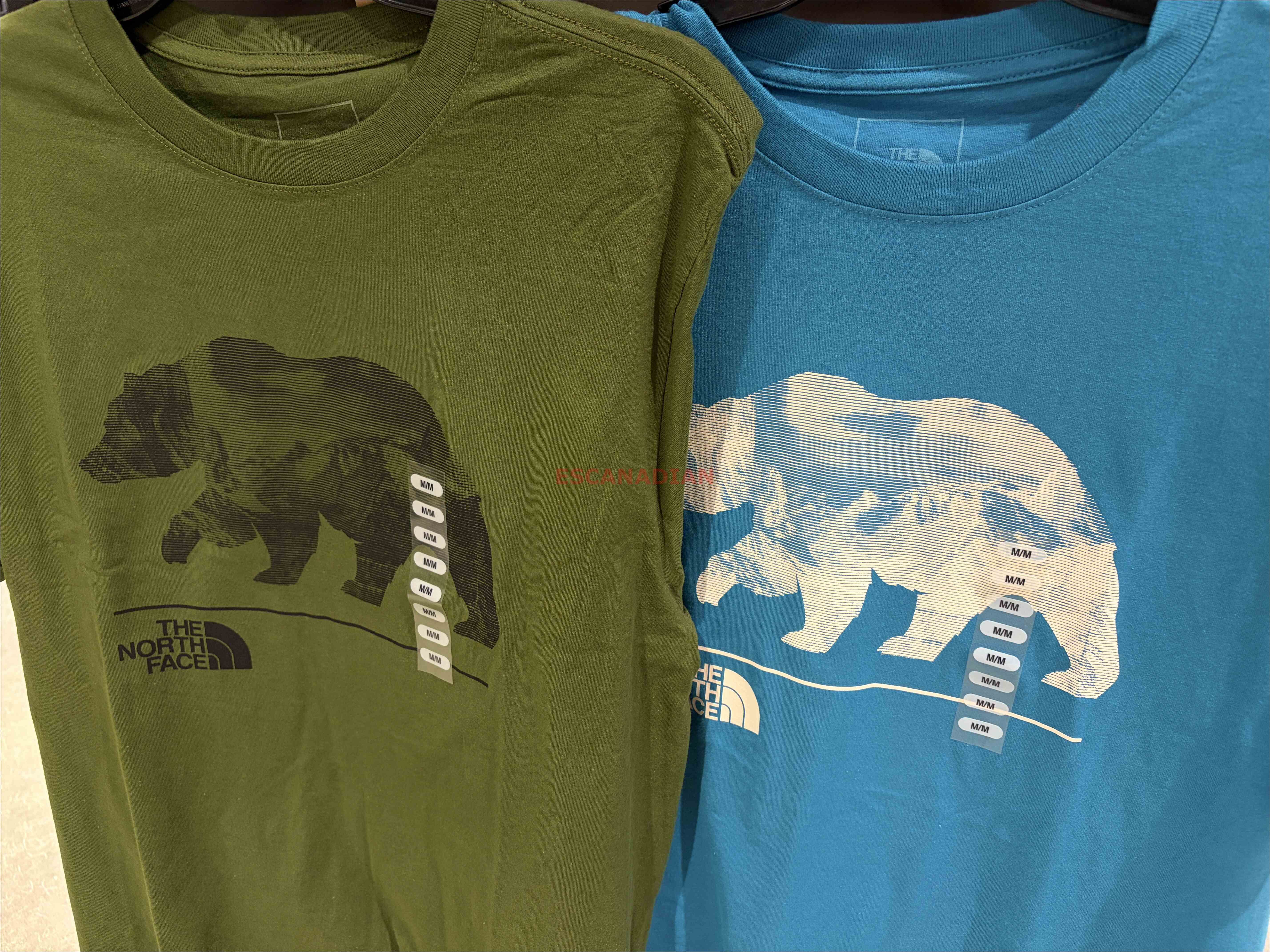 THE NORTH FACE 男大人 熊圖案 短TEE (2色)