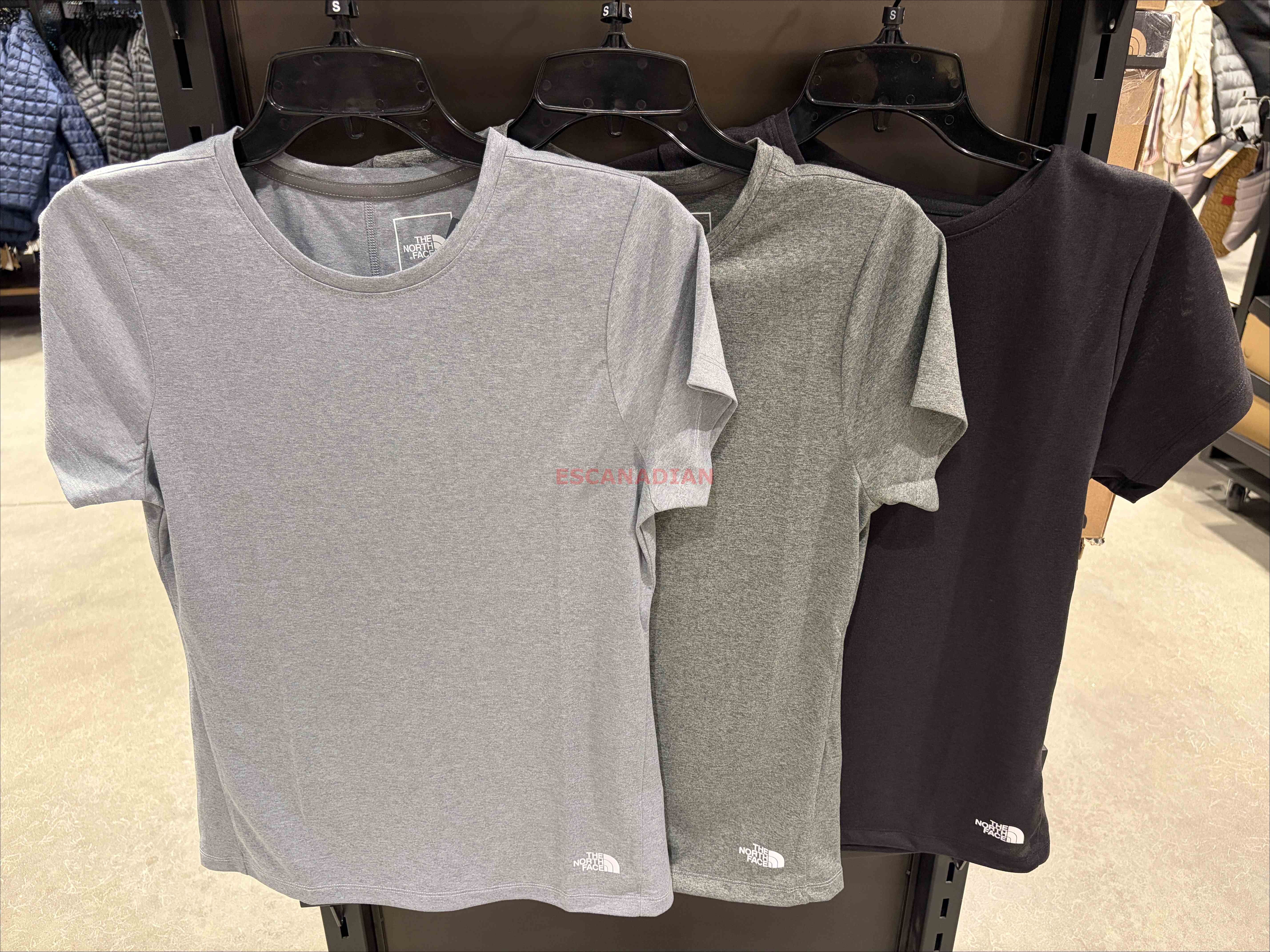 THE NORTH FACE 女大人 機能系列 速乾 輕薄 排汗材質 短TEE (3色)