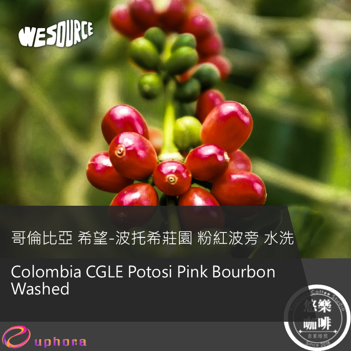 Colombia CGLE Potosi Pink Bourbon Washed