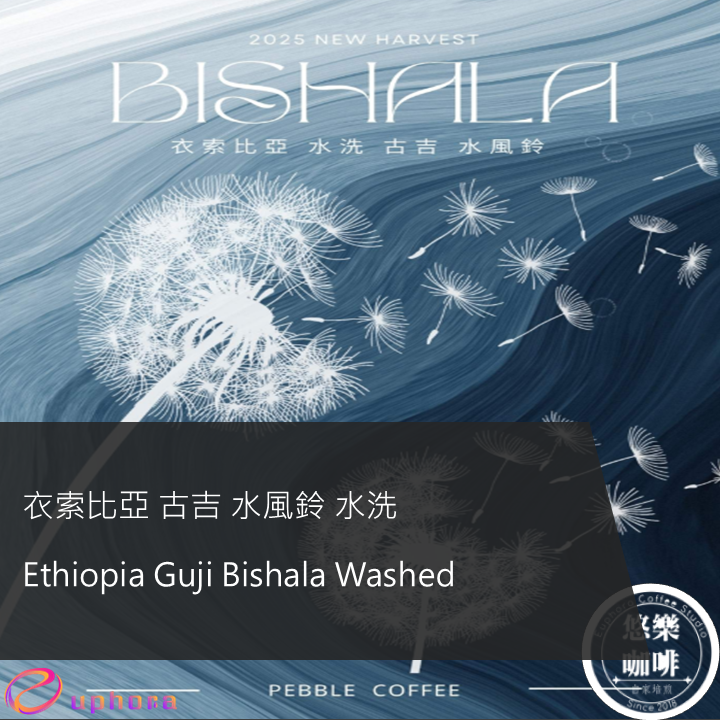Ethiopia Guji Bishala Washed