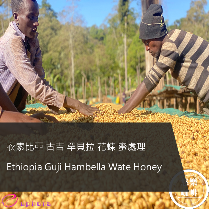 Ethiopia Guji Hambella Wate Honey
