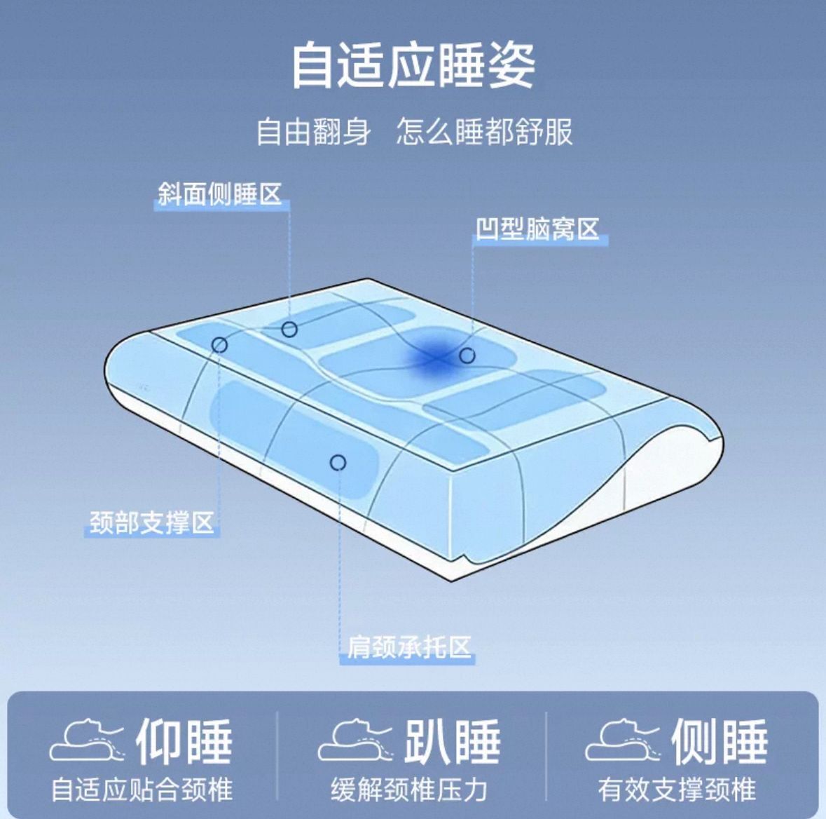 A06 「錢皇」桑蠶絲親膚護頸記憶棉枕 40*70*10cm $388