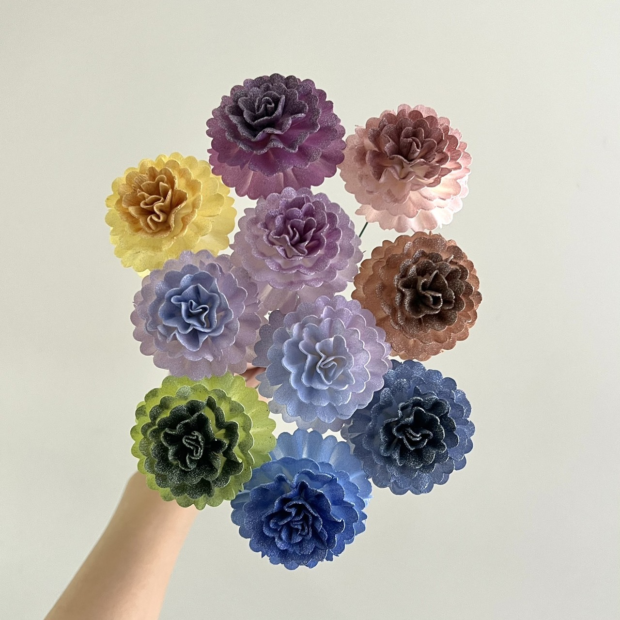 泰國索拉 小花康乃馨  5 CM <十支一把> (高品質)