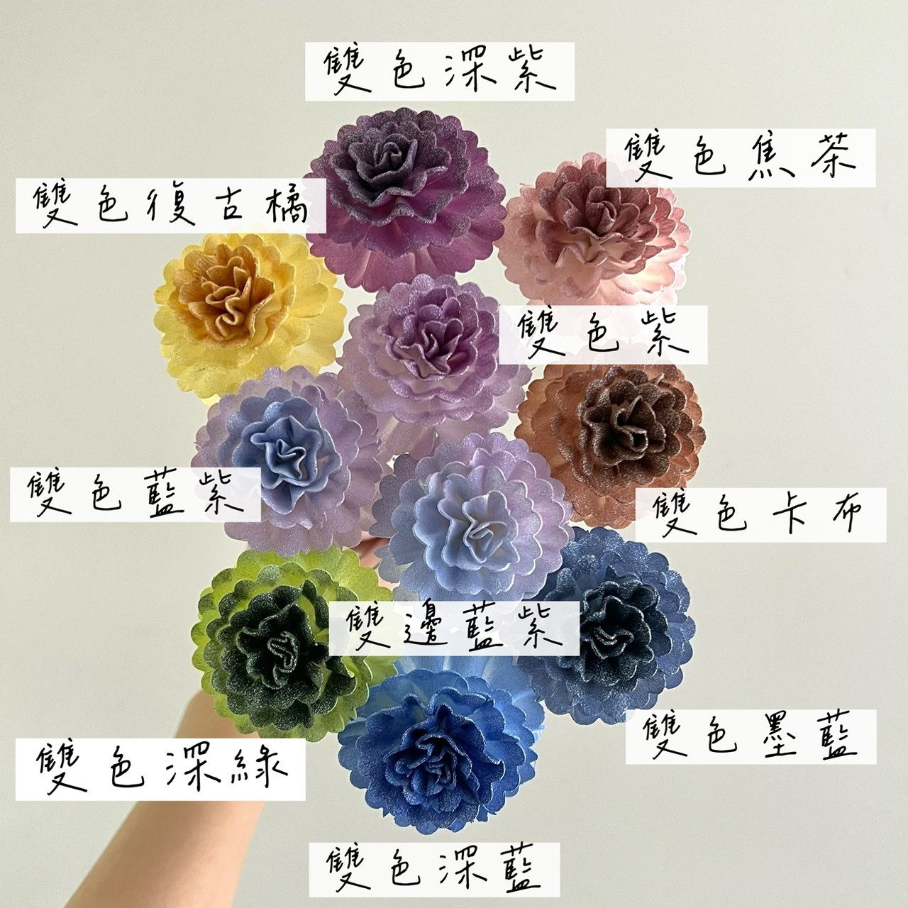 泰國索拉 小花康乃馨  5 CM <十支一把> (高品質)