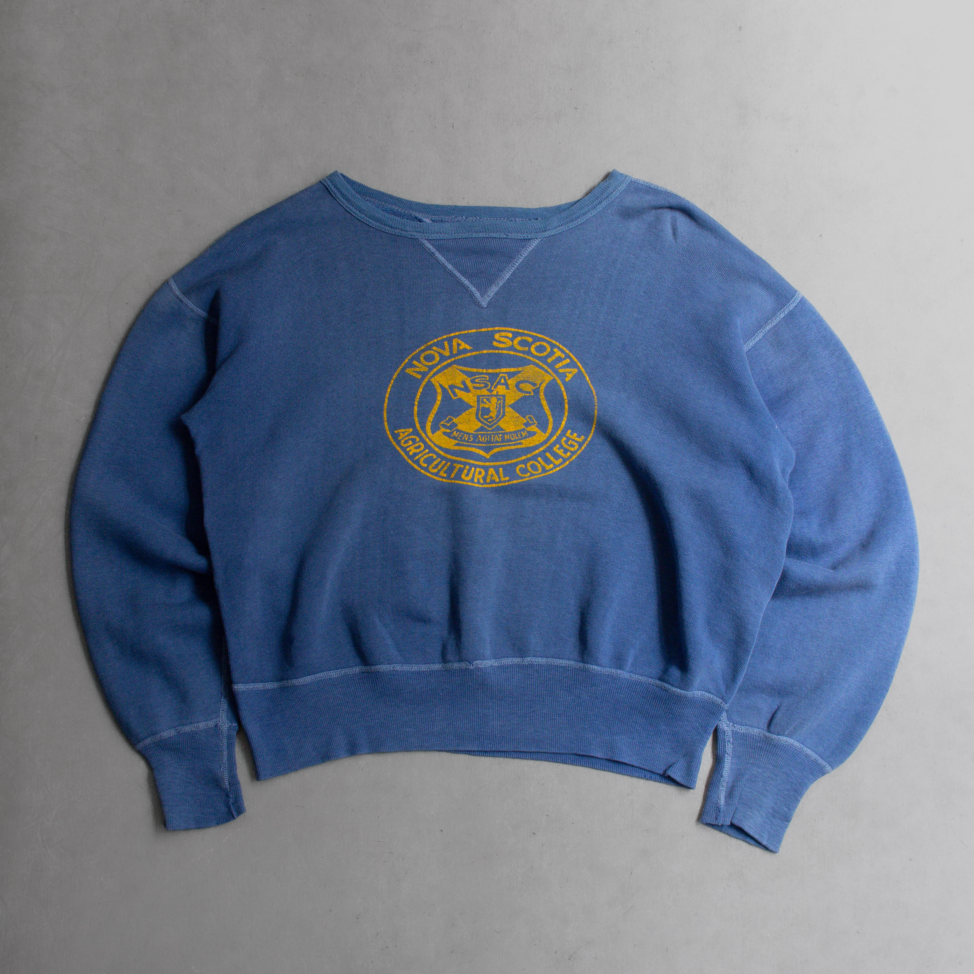 50S DOUBLE V COLLEGE SWEATSHIRT 美國 前後V 藍色 長袖 大學T