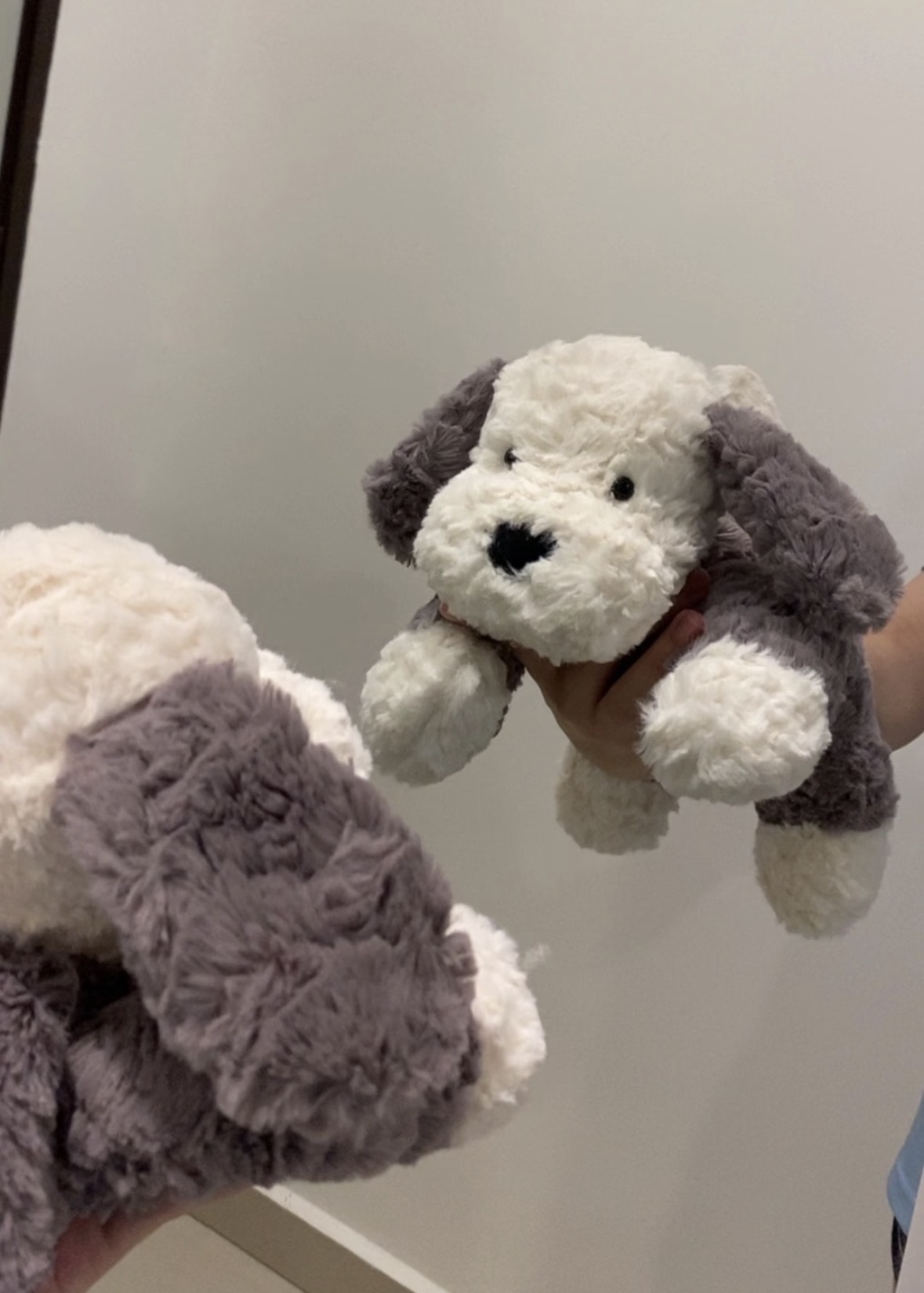 （預購）Jellycat 狗狗系列 玩偶