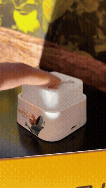 <紓壓小物>InfoThink 狸想世界 蜥蜴 迷你 按鍵燈