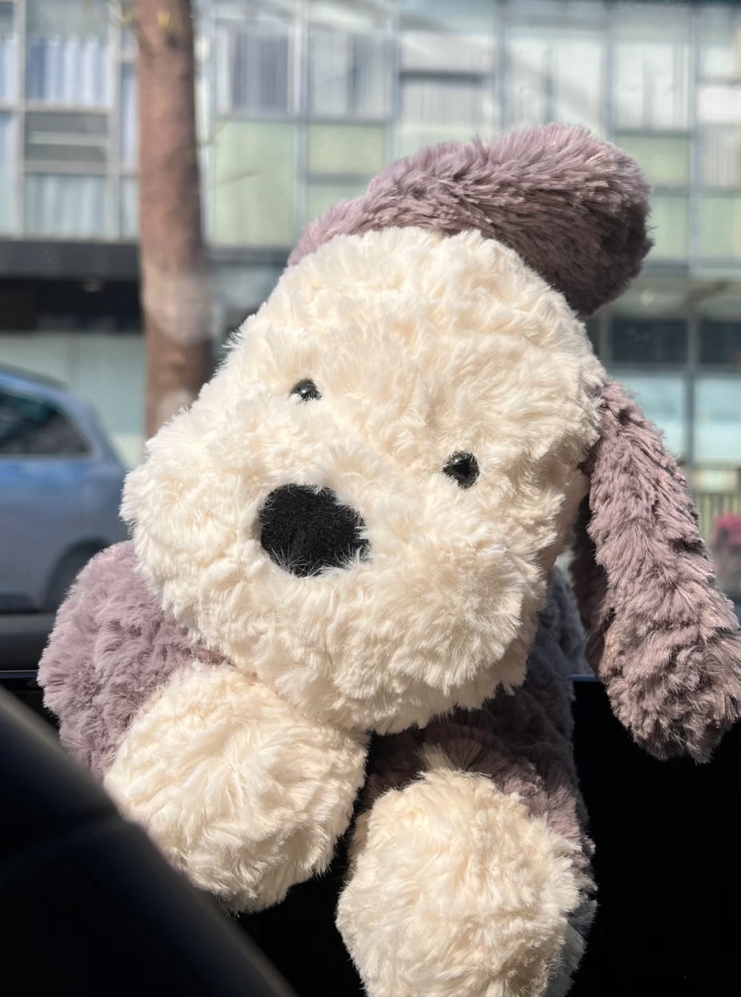 <預購> 限時發售！Jellycat 牧羊犬 TUMBLE 35cm