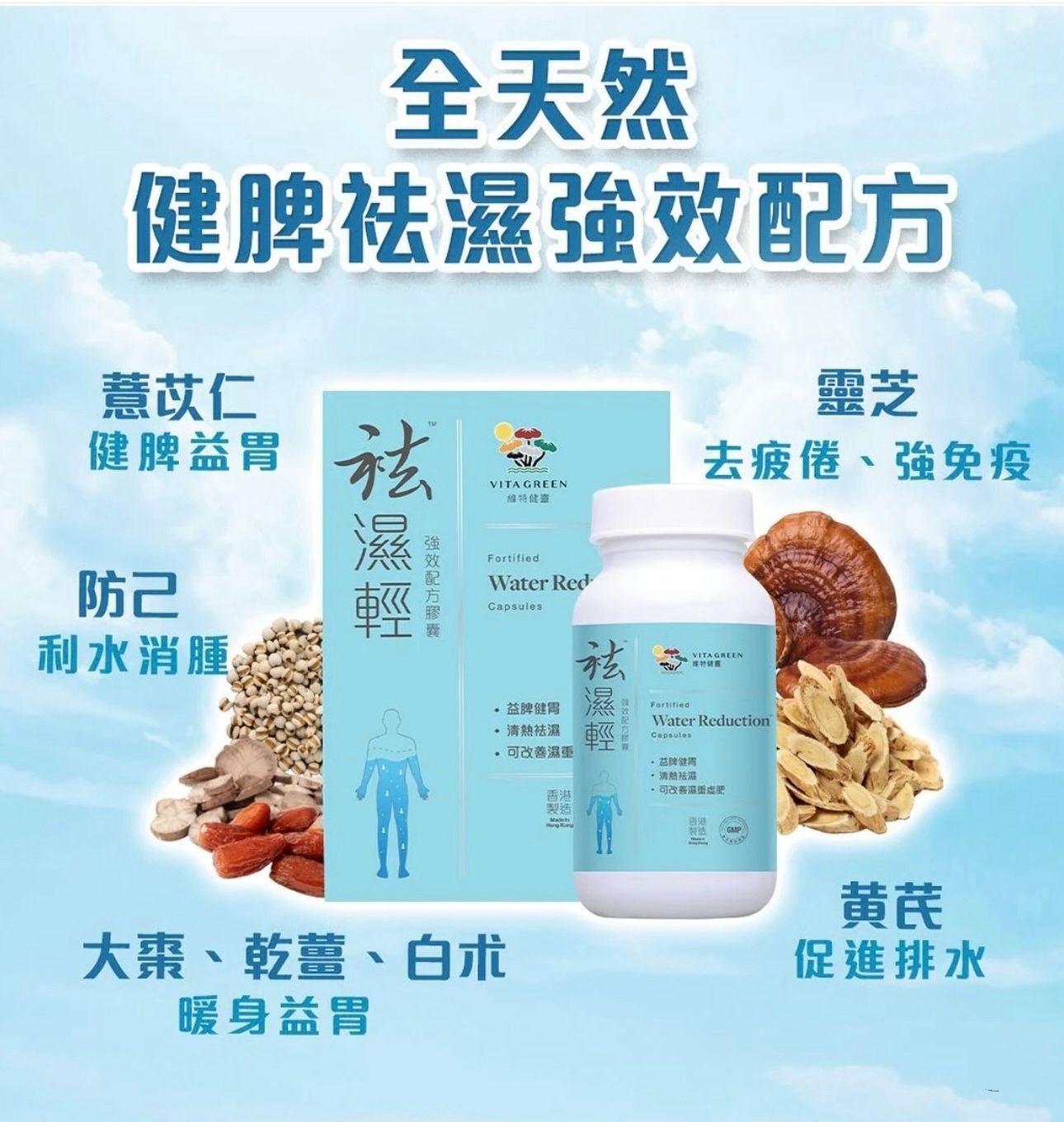 Vita Green維特健靈祛濕輕 40粒 (萬寧版)
