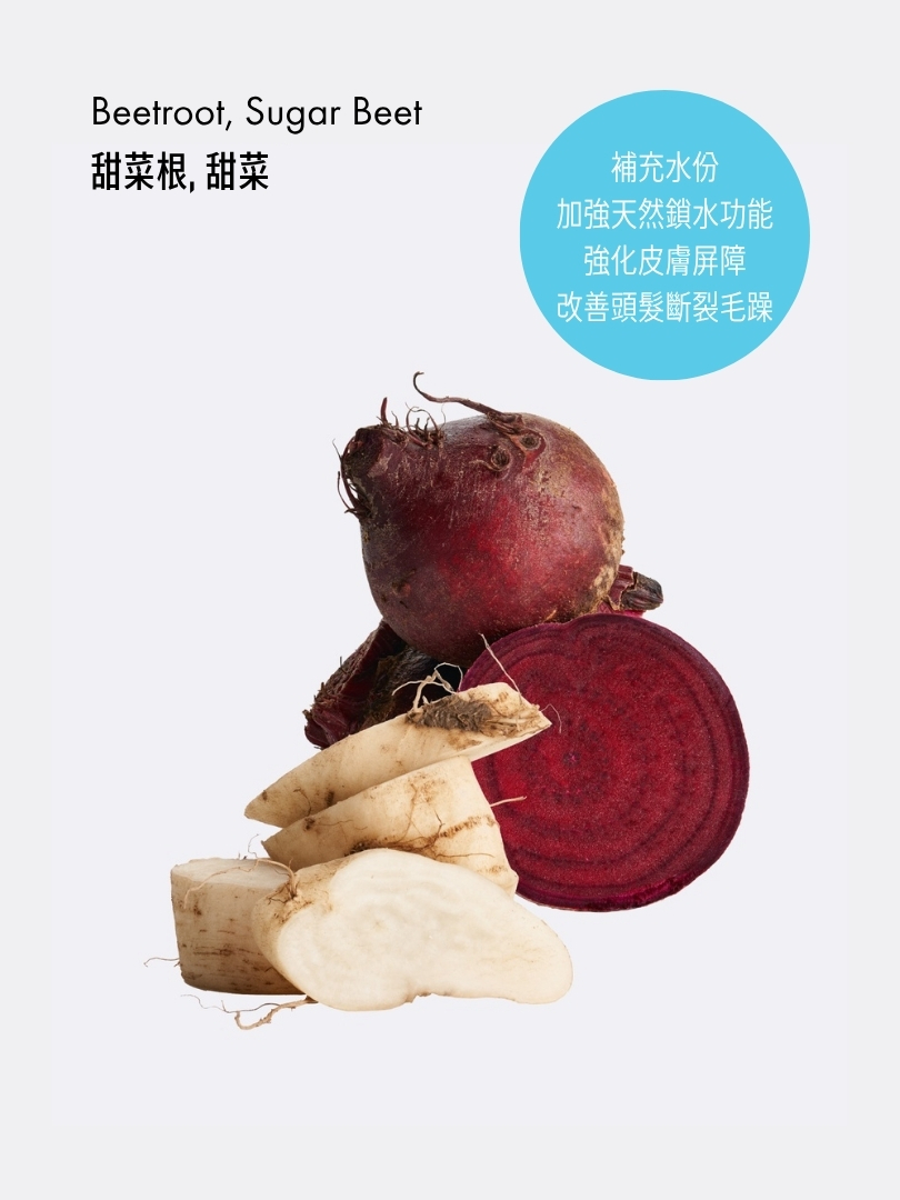 滋養水盈洗髮露