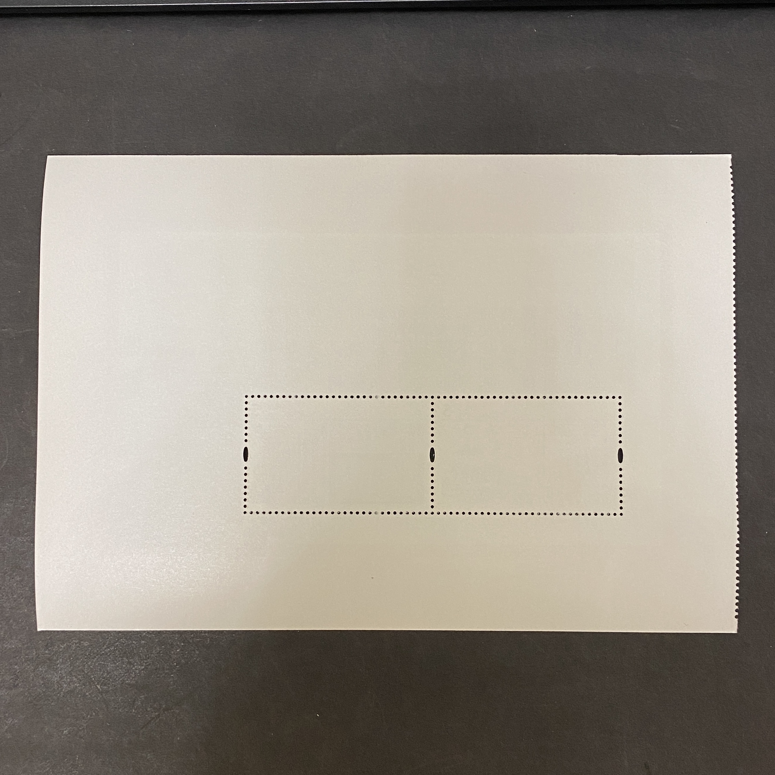 2011年香港 C171M 辛亥革命百週年紀念小全張