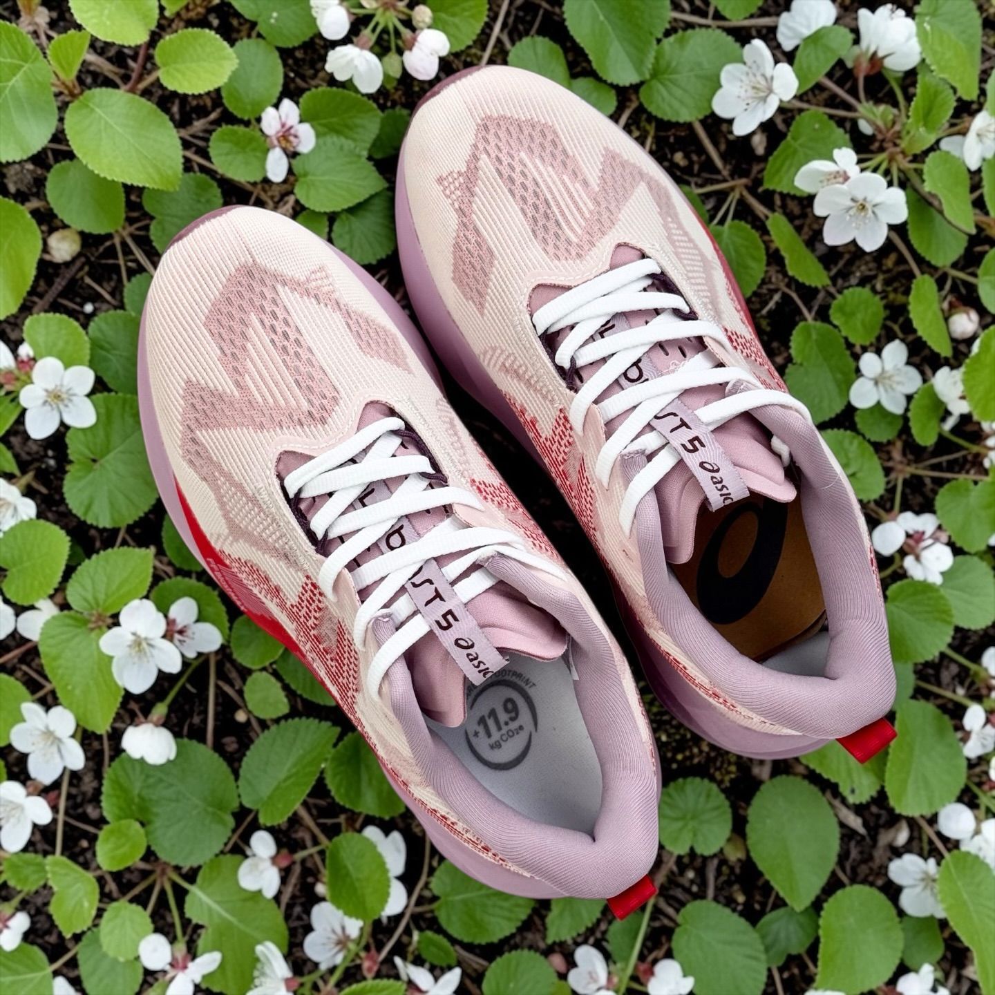 ASICS Novablast 5 粉紫跑鞋