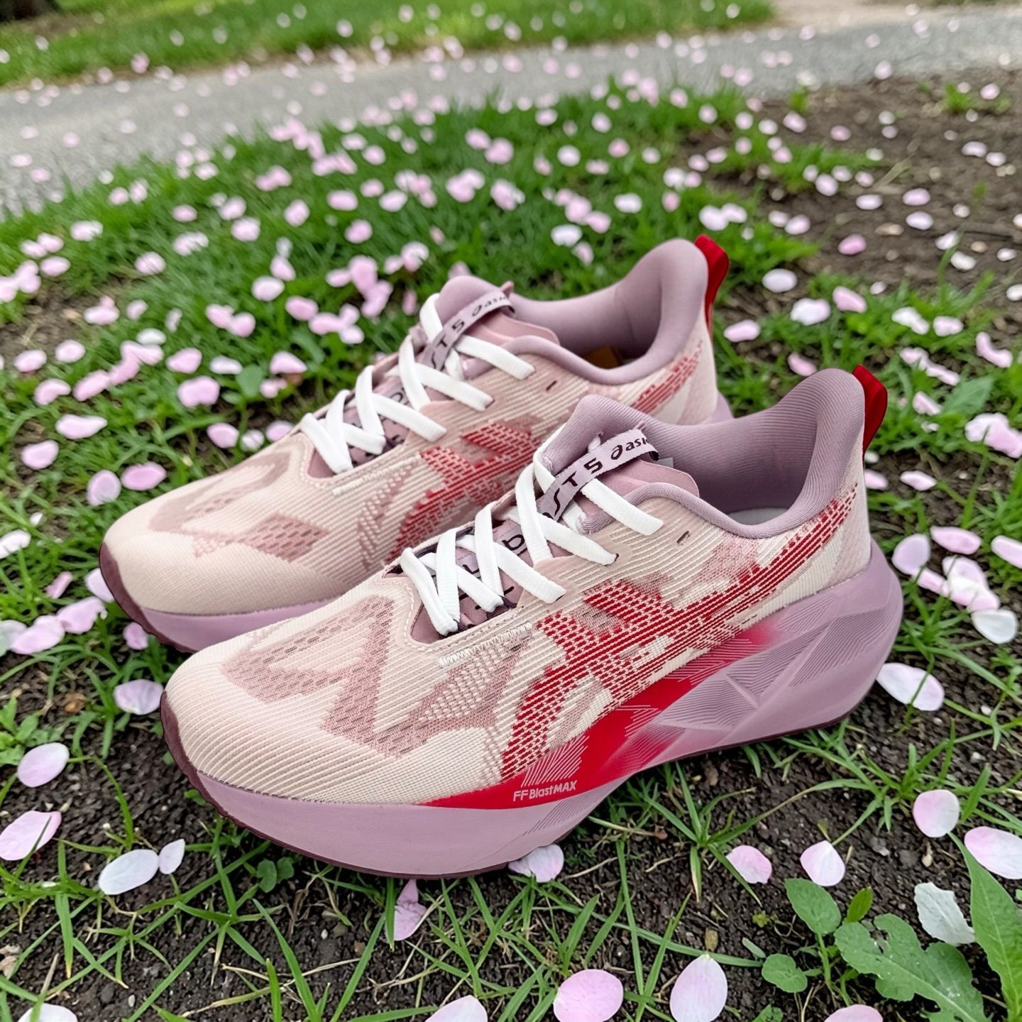 ASICS Novablast 5 粉紫跑鞋