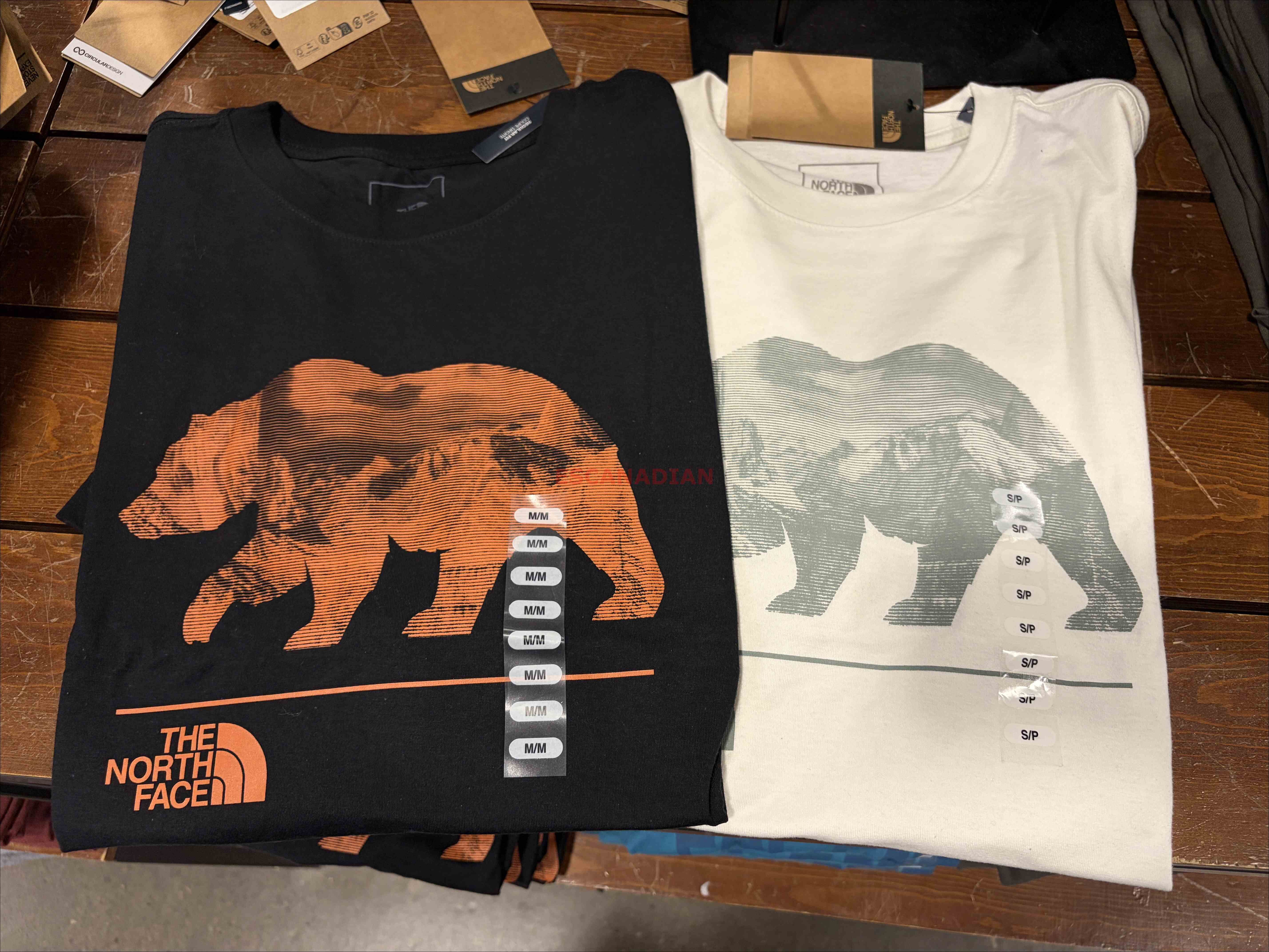 THE NORTH FACE 男大人 熊圖案 短TEE (3色)