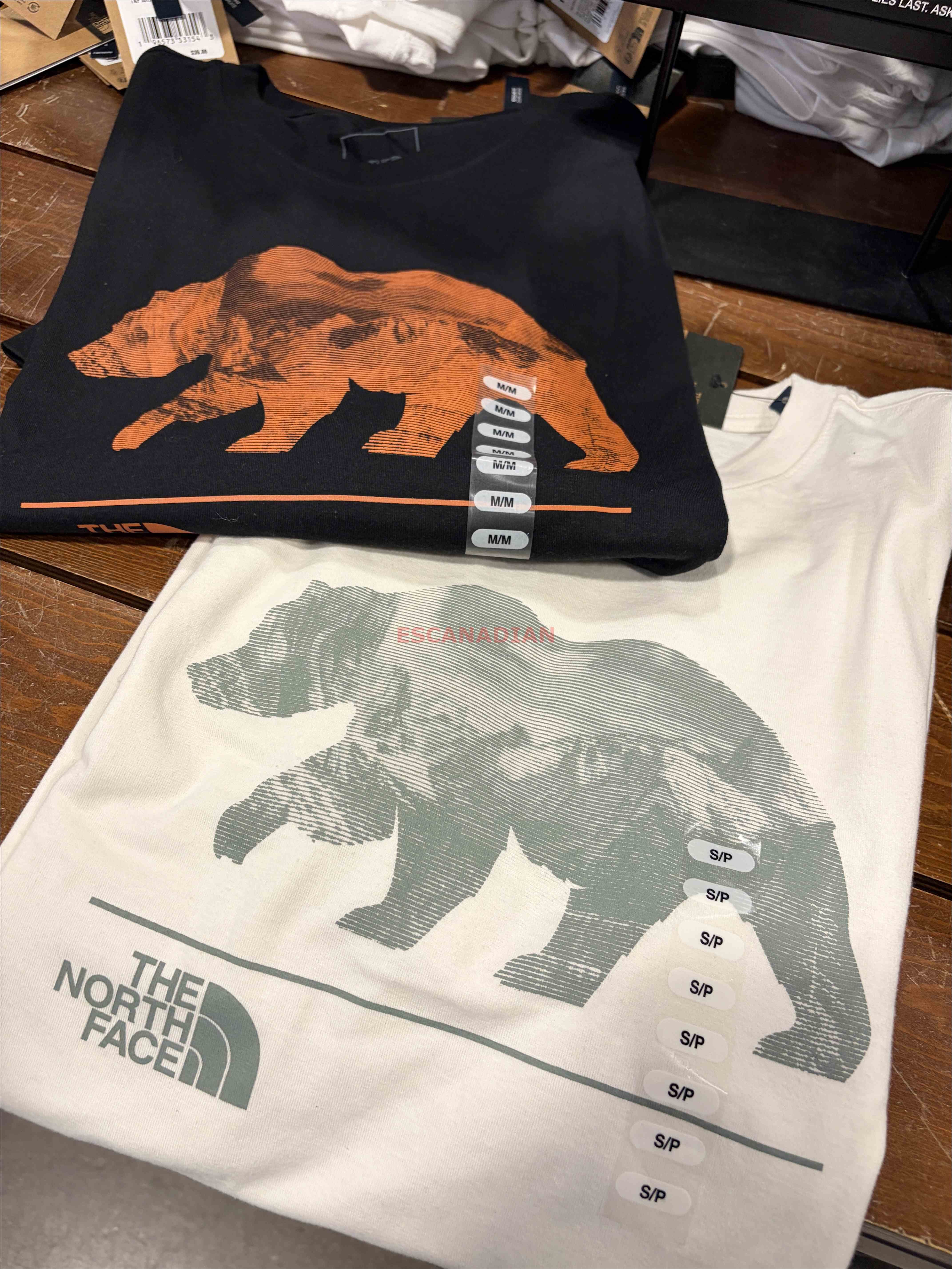 THE NORTH FACE 男大人 熊圖案 短TEE (3色)