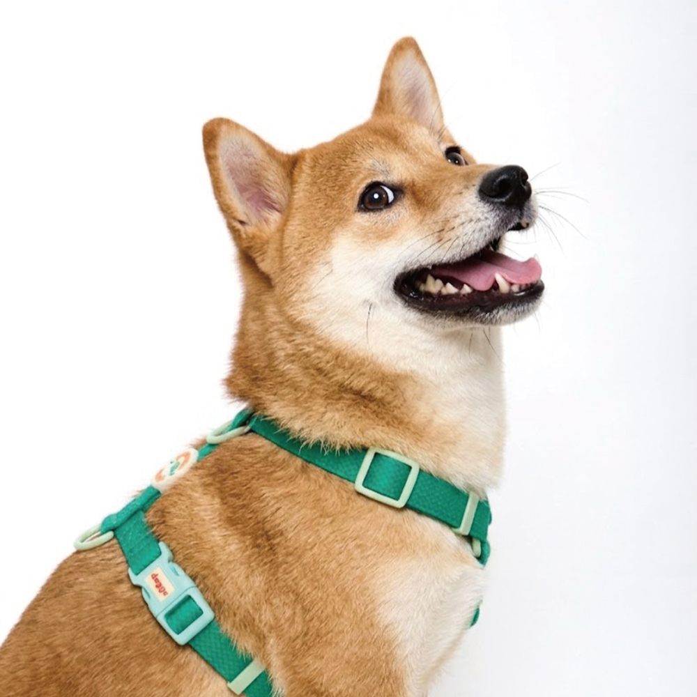 doggu 運動俱樂部｜防水抗污寵物胸背帶