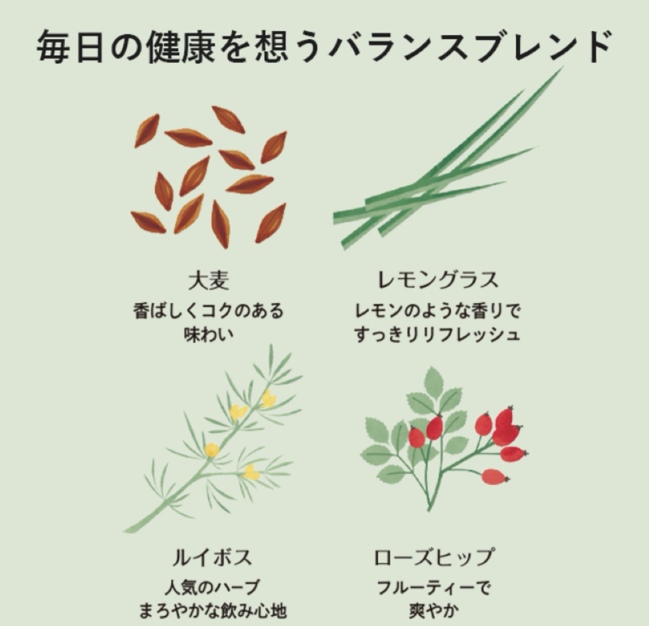 Tea Boutique路易波士茶與大麥混合茶