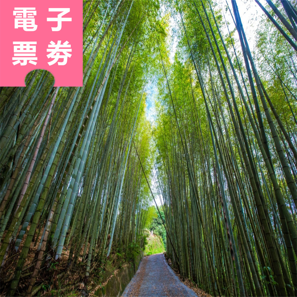 【電子票劵】嘉義｜台灣好行瑞里線來回車票 Ⓕ