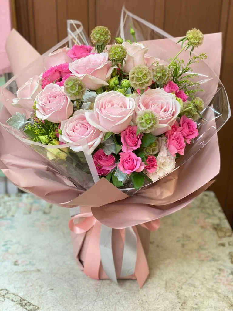 W -淡雪粉桃蘇菲