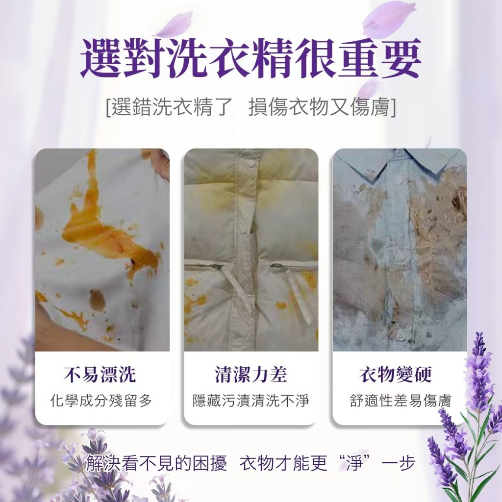 WSBB10908   MOLN 薰衣草沁柔濃縮洗衣精 800ML《一組2瓶》（現貨）