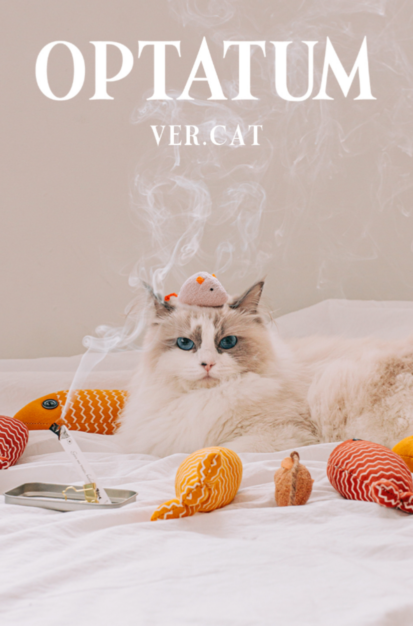 【 3/30收單 】 Optatum 貓咪紙香薰 & 貓薄荷玩具禮盒組 韓國