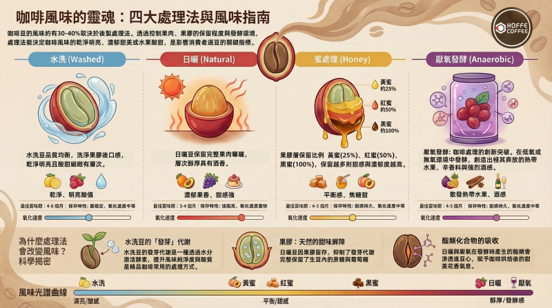 日曬.水洗.蜜處理.厭氧處理.風味特色