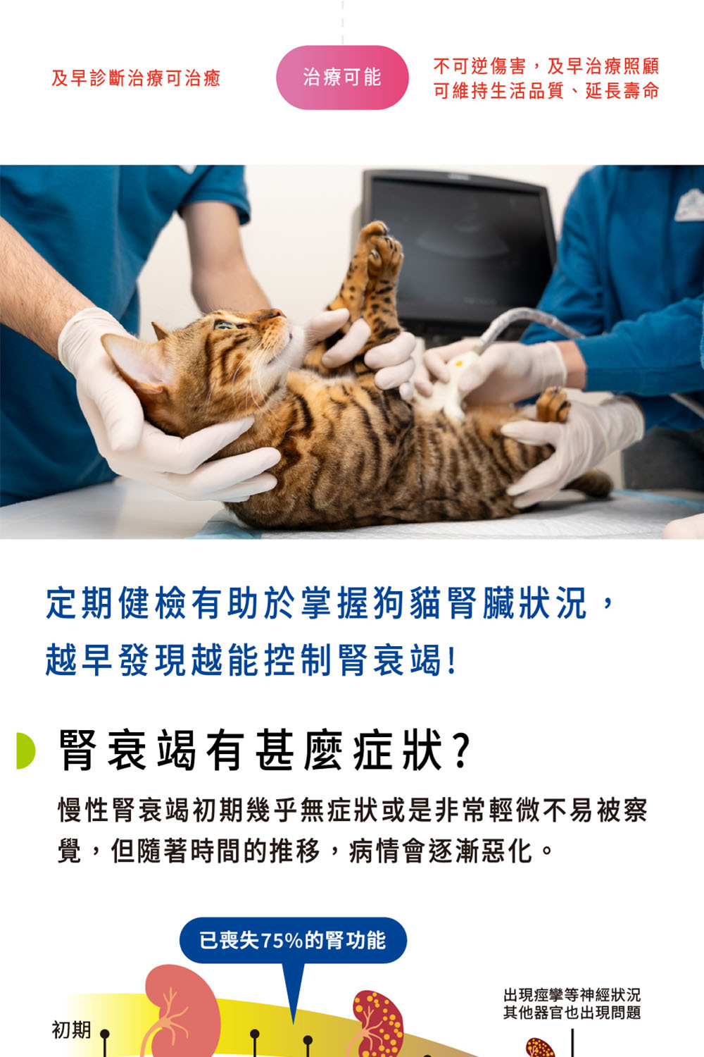 腎衰竭症狀|Koolpal 可沛寵藥