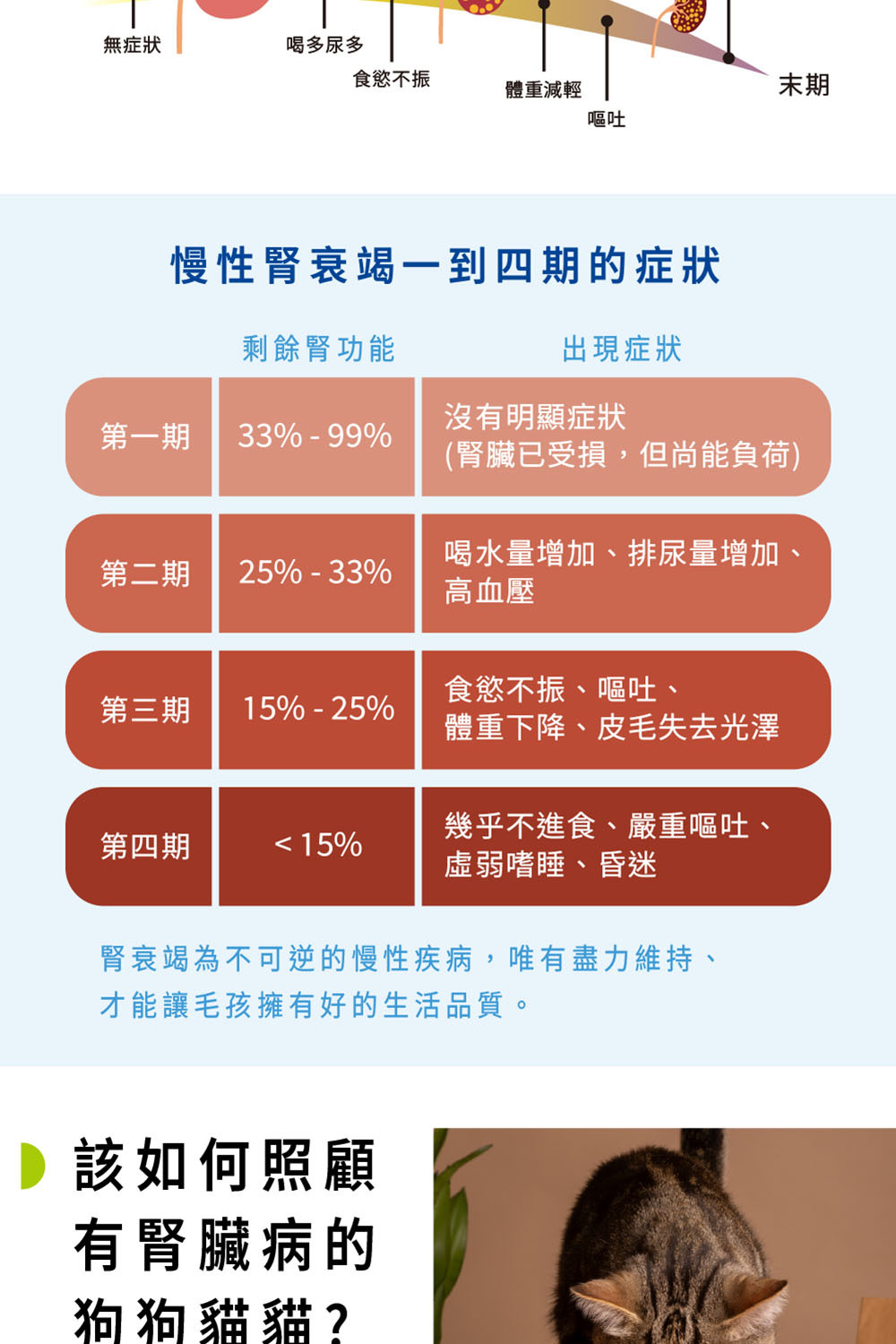 腎衰竭症狀|Koolpal 可沛寵藥