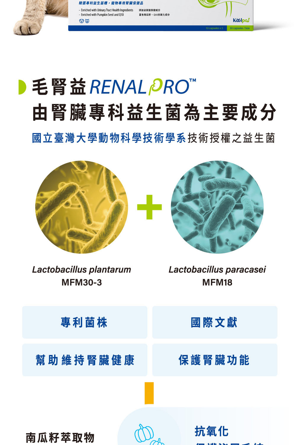 毛腎益犬貓腎臟益生菌機制|Koolpal可沛寵藥