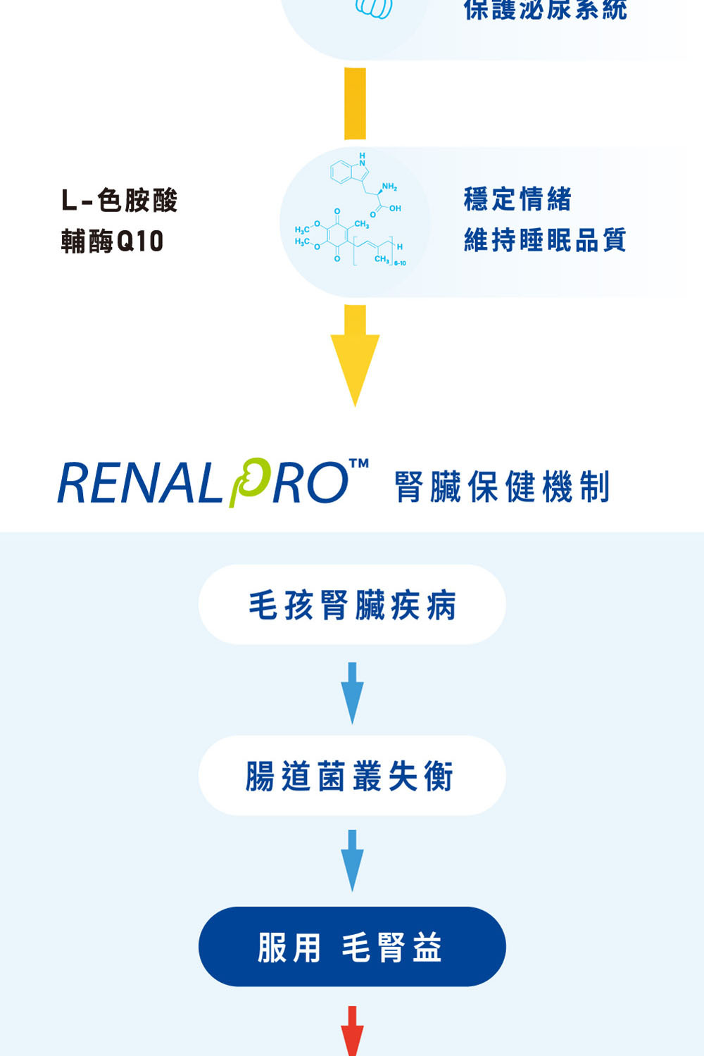 腎臟保健機制|Koolpal可沛寵藥