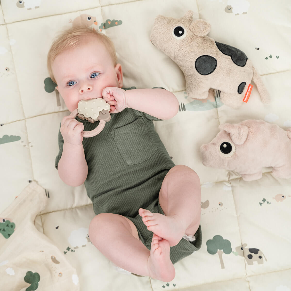 迷你好朋友【小豬Pigee】-丹麥Done by deer