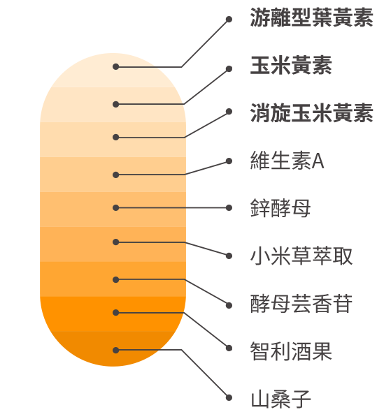 豐傑葉黃素含3大黃斑色素+6大營養複方統整圖