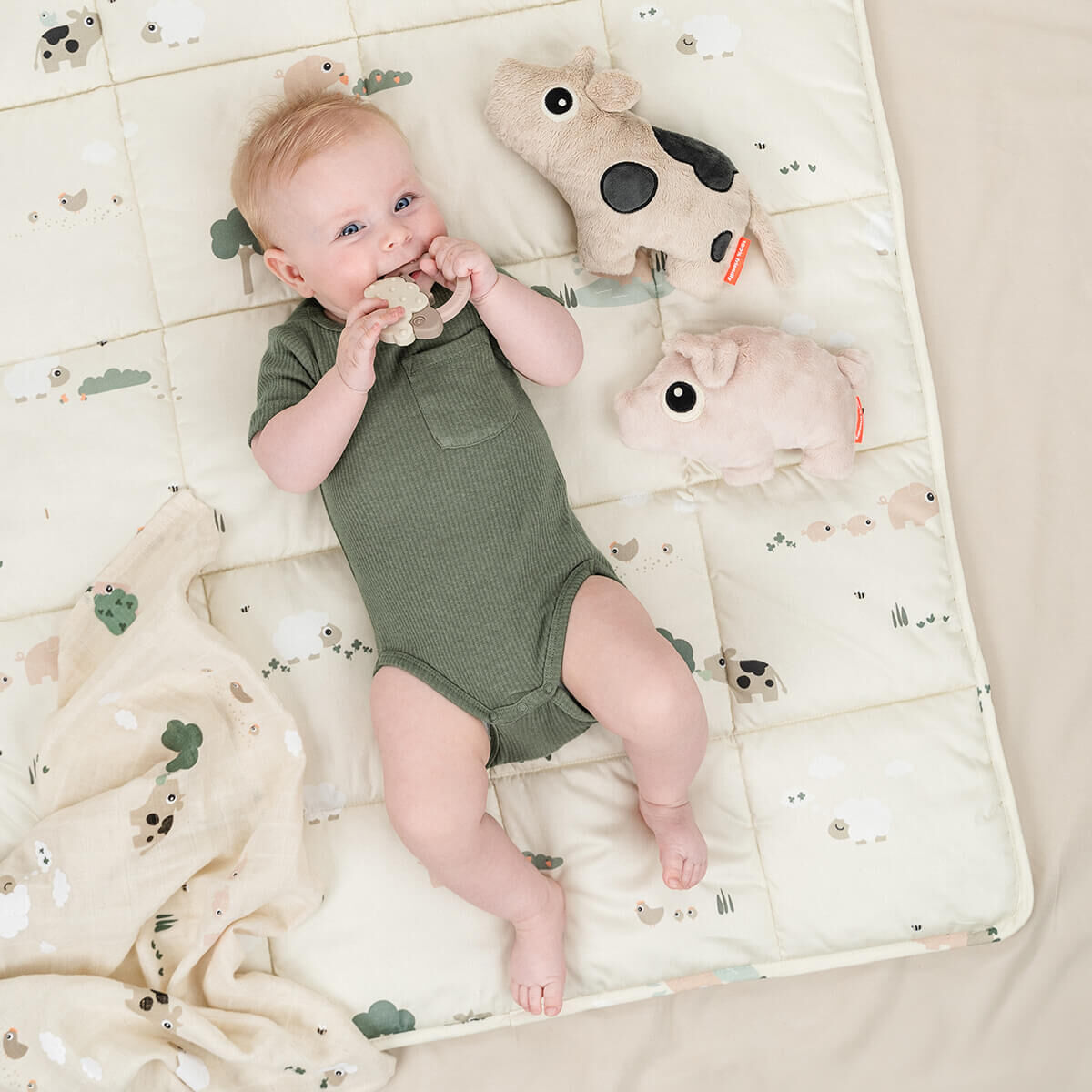 迷你好朋友【小牛Dotti】-丹麥Done by deer