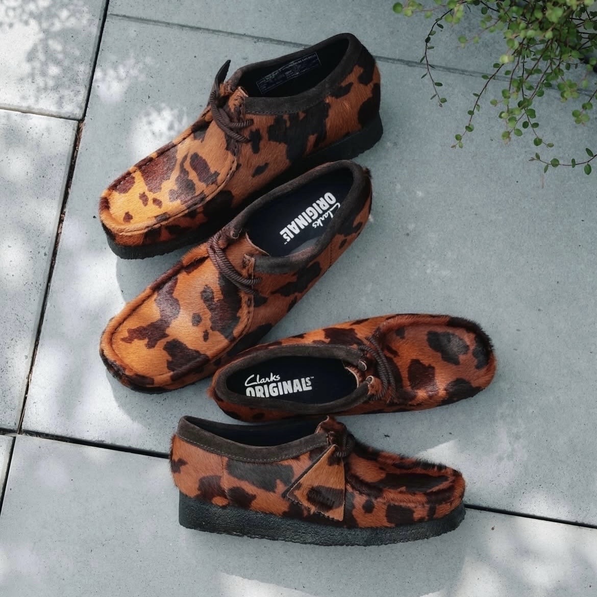 CLARKS WALLABEE 棕 橘 動物紋 休閒 仿馬毛 樂福鞋 26183072