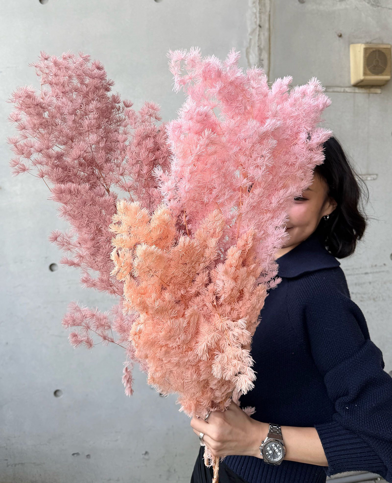 不凋蓬萊松（多色）