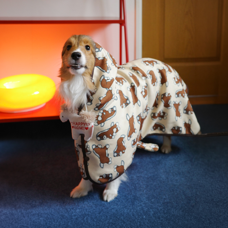 90s科技地毯-午夜藍01