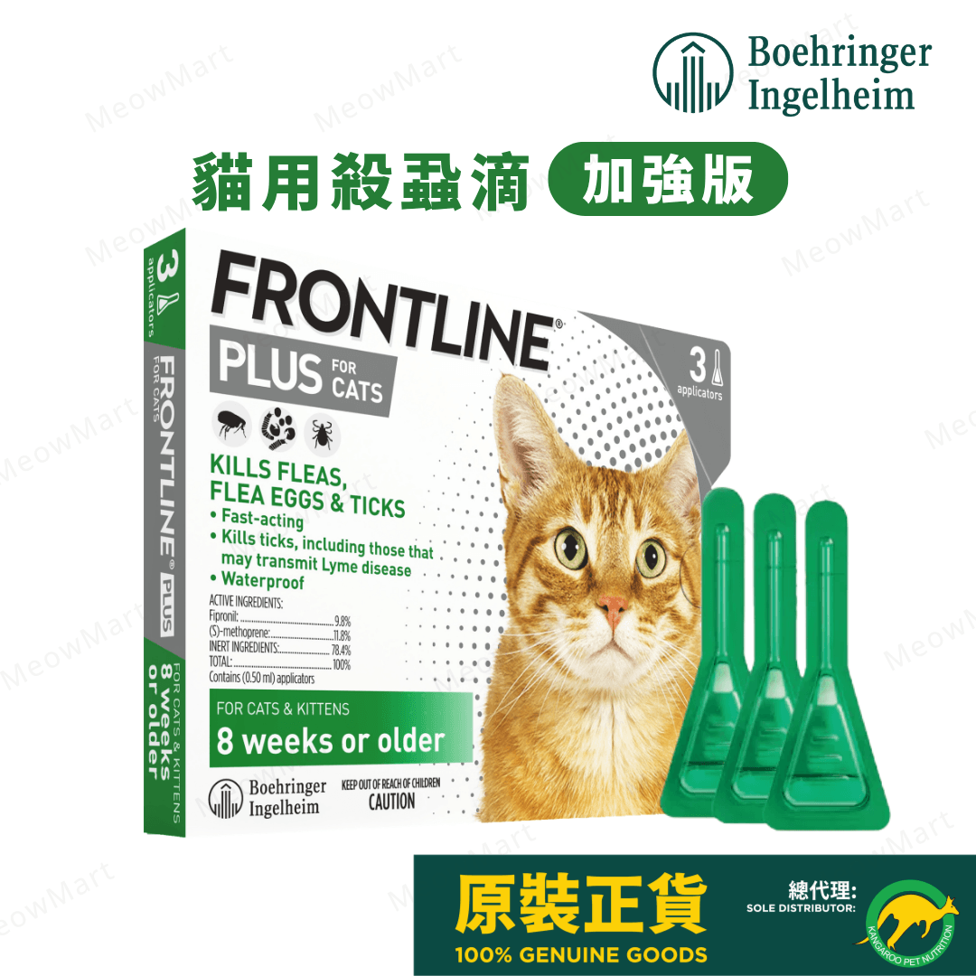 frontline plus 貓