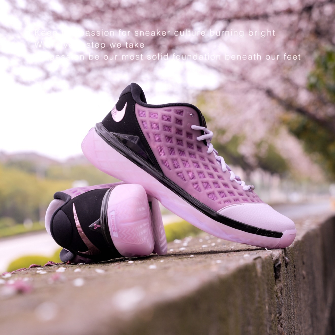 Nike Kobe 3 Low Protro° ”Pink Quartz 粉紅色石英石 IF2497-500